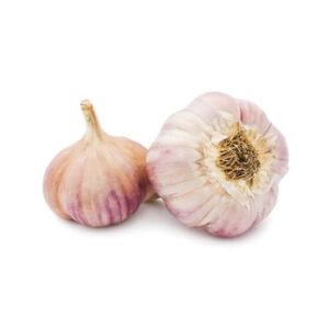 Garlic