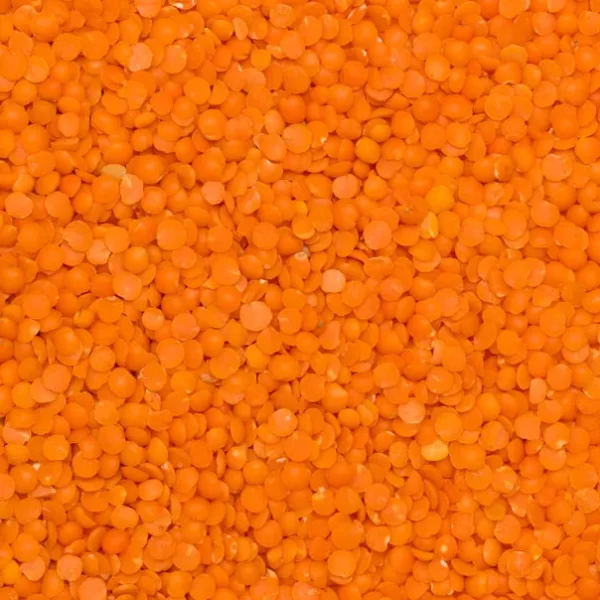 Lentils Masoor