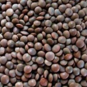 Lentils Malka